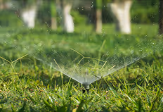 Automatischer Rasensprenger, der grünen Rasen in einem Garten bewässert.